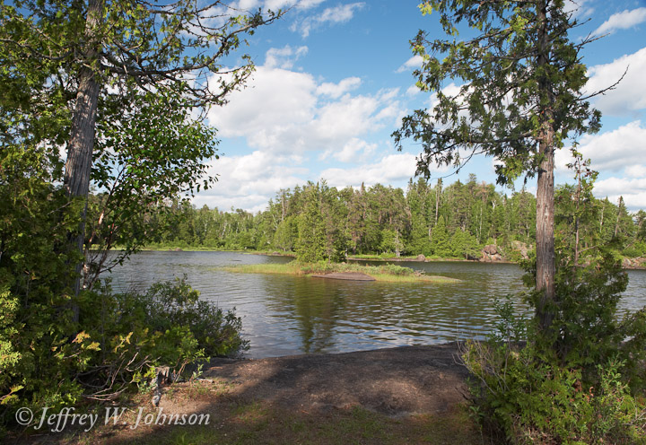 Fletcher Creek Reflection